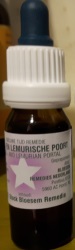 Remedie Engel- Lemurische Poort